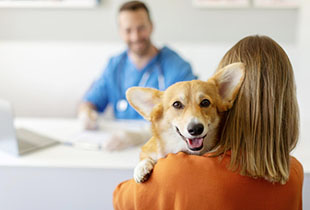 ביטוח בריאות לחיות מחמד