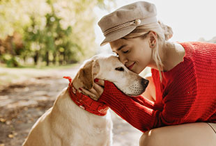 מחירי ביטוח לחיות מחמד