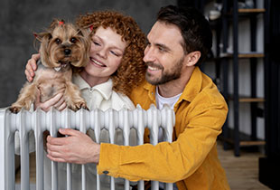 ביטוח בעלי חיים