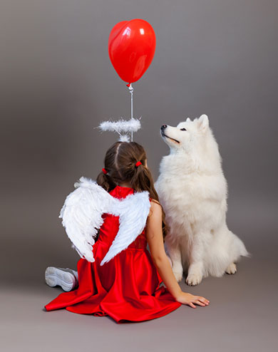 ביטוח חיות מחמד